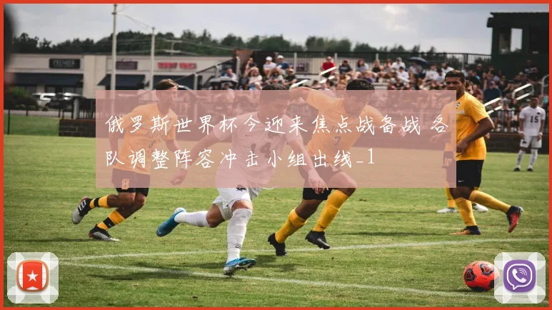 俄罗斯世界杯今迎来焦点战备战 各队调整阵容冲击小组出线_1