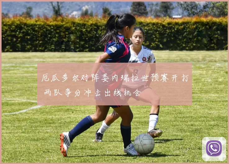 厄瓜多尔对阵委内瑞拉世预赛开打 两队争分冲击出线机会