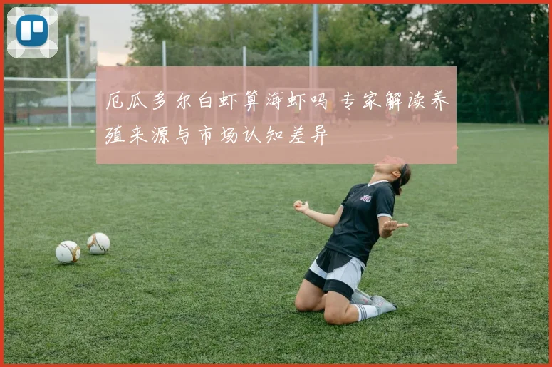 厄瓜多尔白虾算海虾吗 专家解读养殖来源与市场认知差异